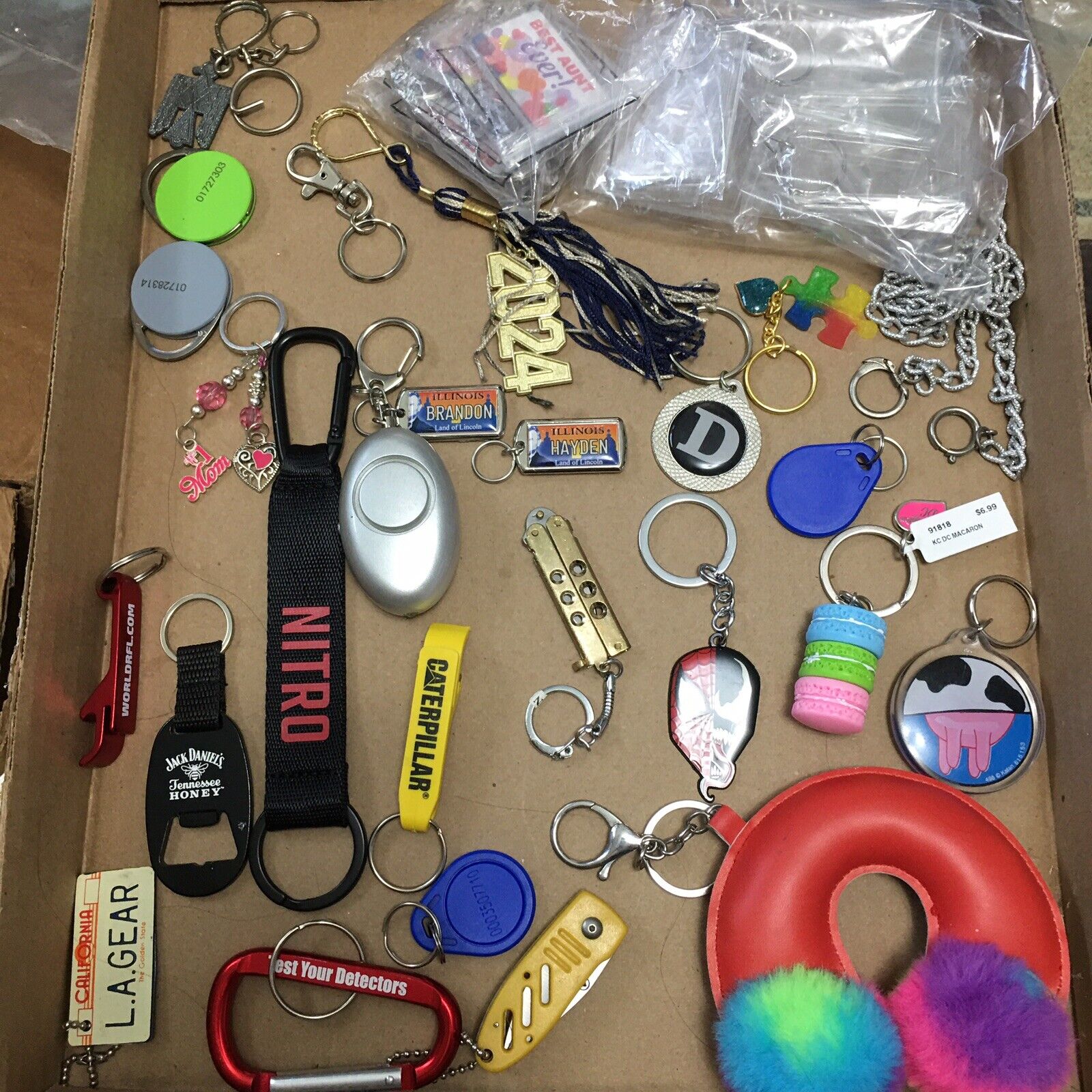 Lot of 30 + MIsc. Assorted Novelty Key Ring Keychains 6A