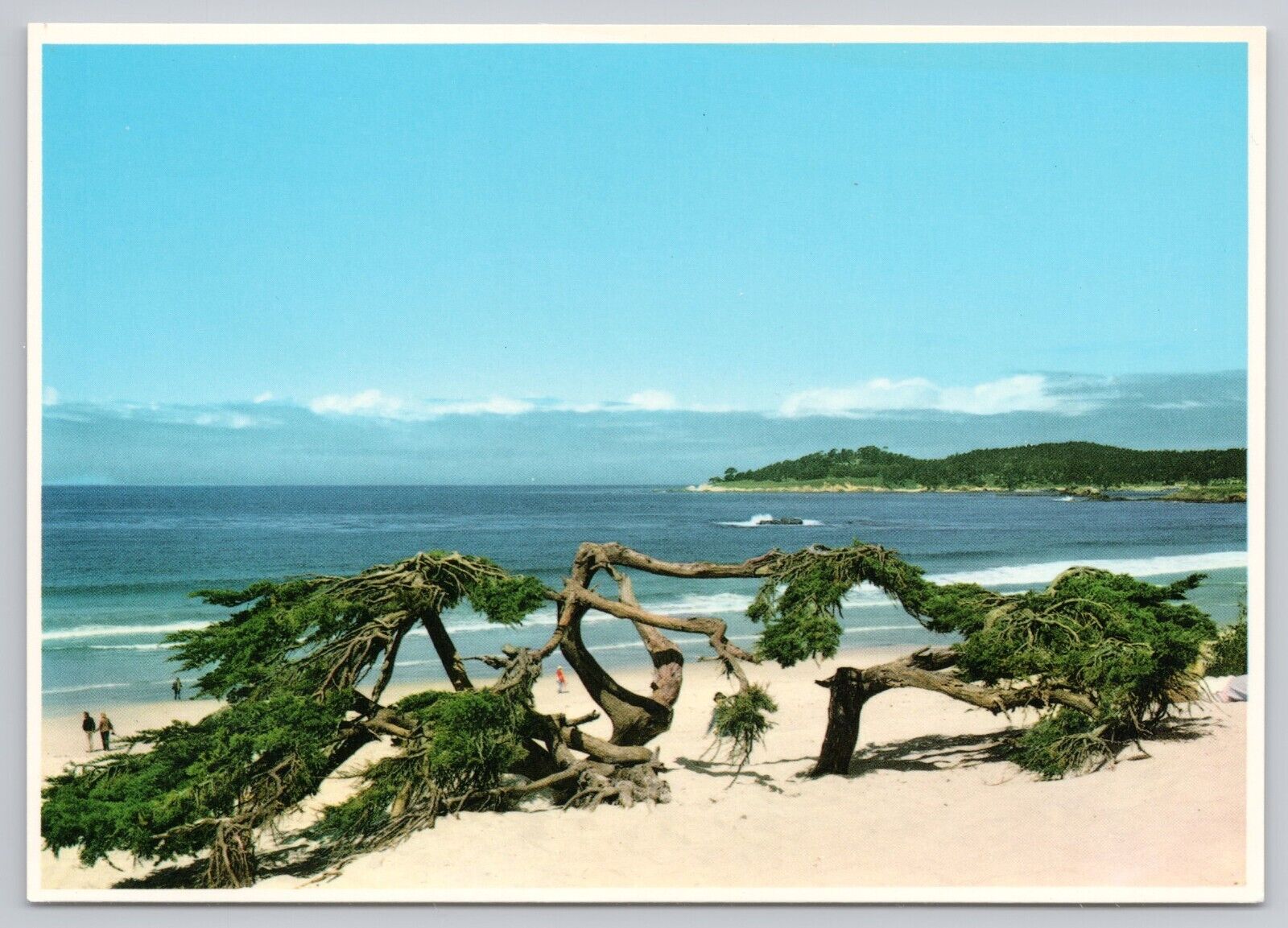 Carmel By The Sea California, Carmel Beach, Vintage Postcard