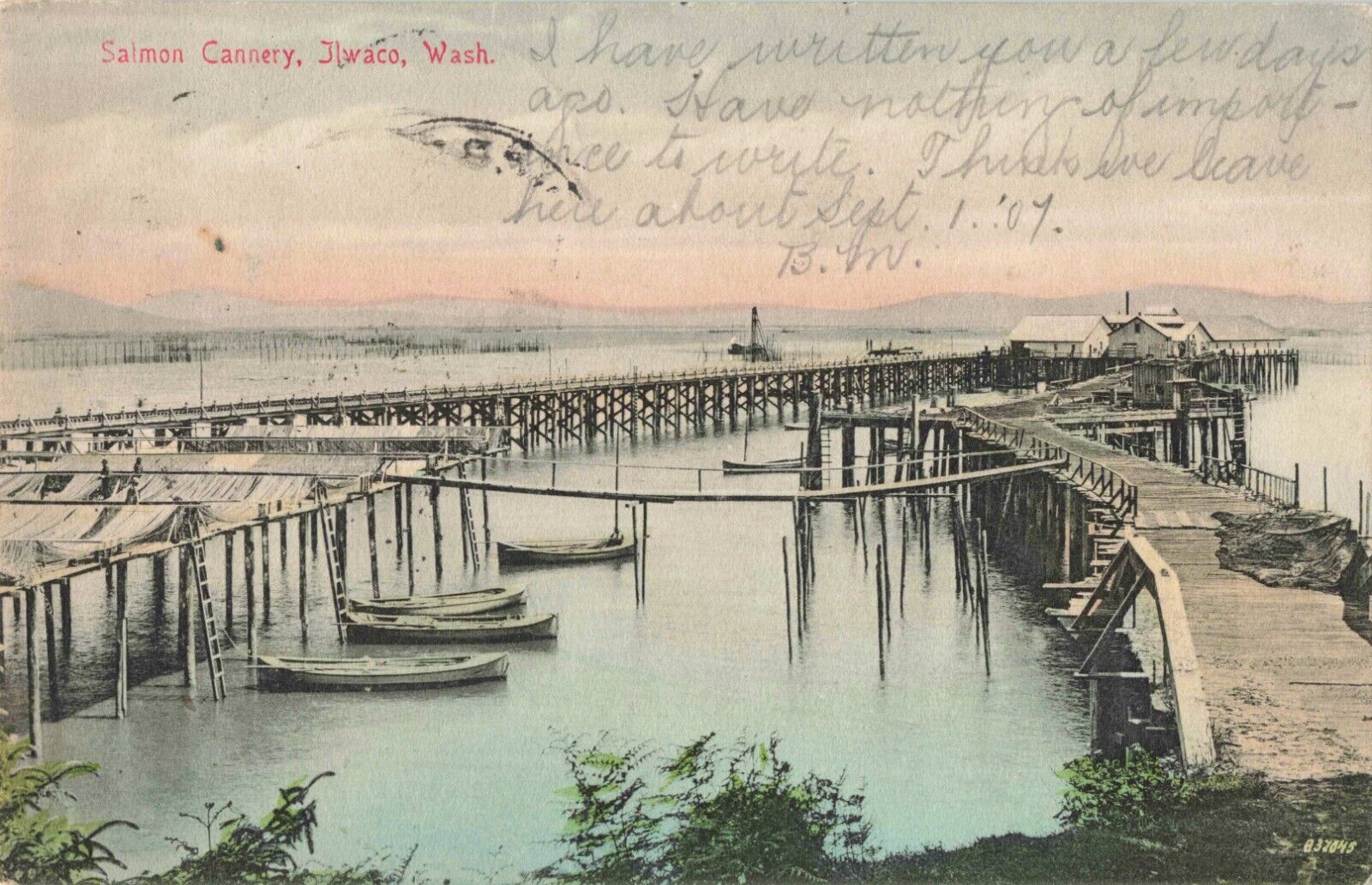 Salmon Cannery Ilwaco Washington WA Boats Dock 1907 Postcard