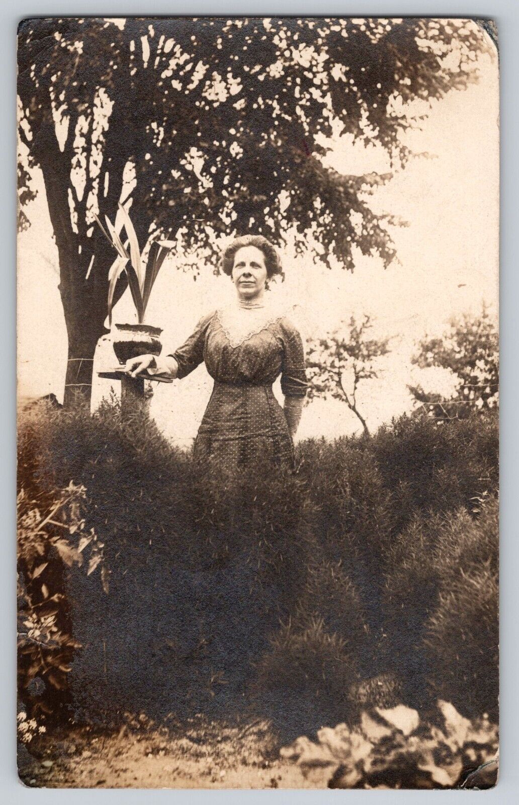 Postcard RPPC Photo Portrait Women Classic Fashion Polka Dot Dress In Garden