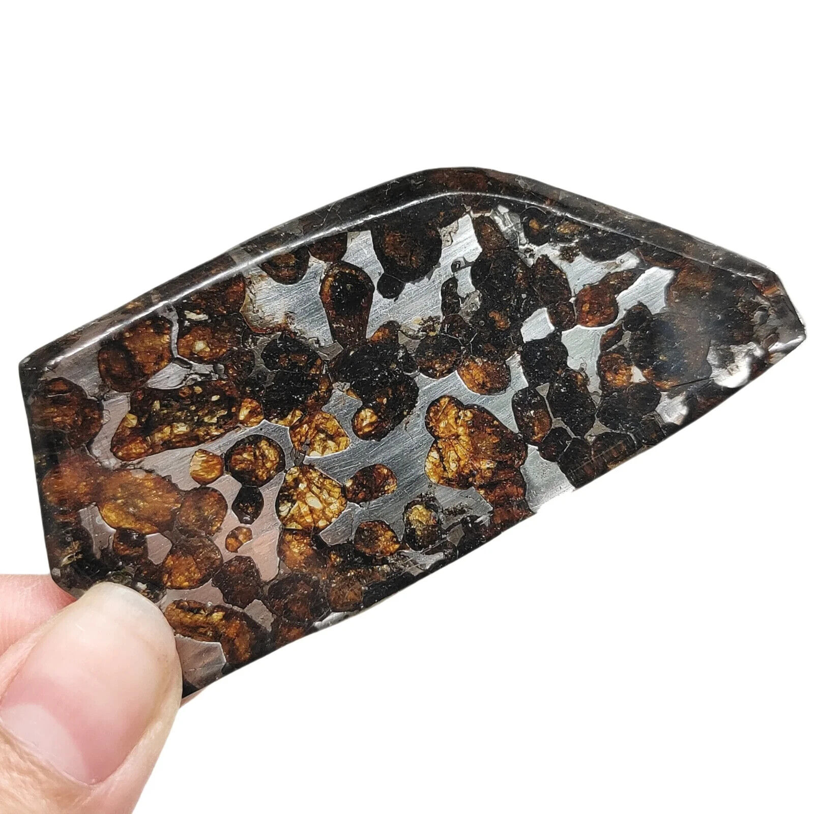 25.6G SERICHO Pallasite olive meteorite slices - from Kenya TA468