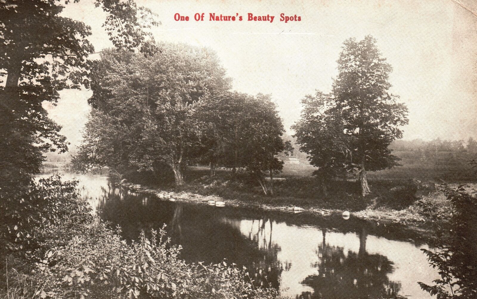 Vintage Postcard 1912 One Of Nature\'s Beauty Spots Lake Forest Trees Fishing