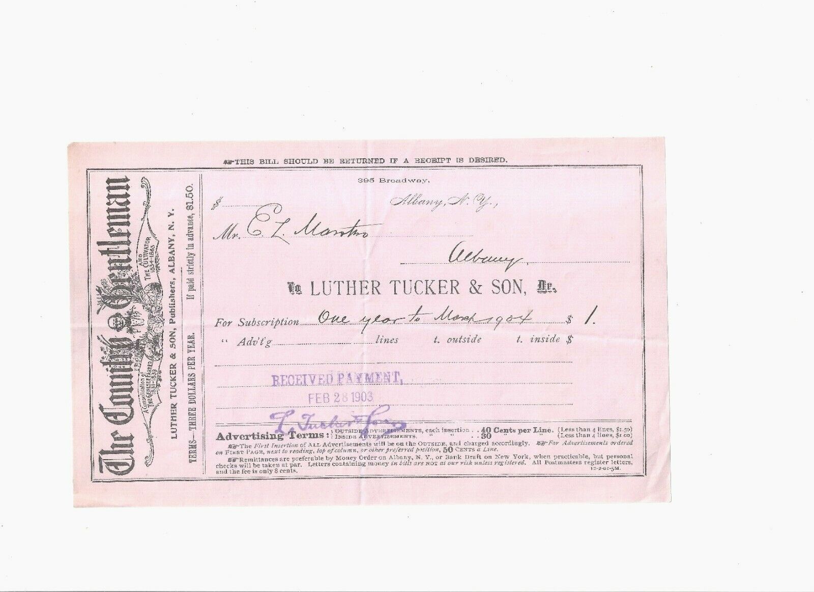 Antique 1903 THE COUNTY GENTLEMAN Receipt, Albany, NY...NICE