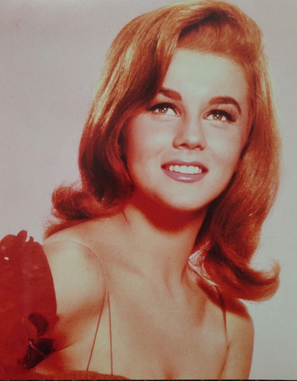 Rare Vintage Color 8x10 Photo ANN-MARGRET Stunning Sexy Swedish Actress