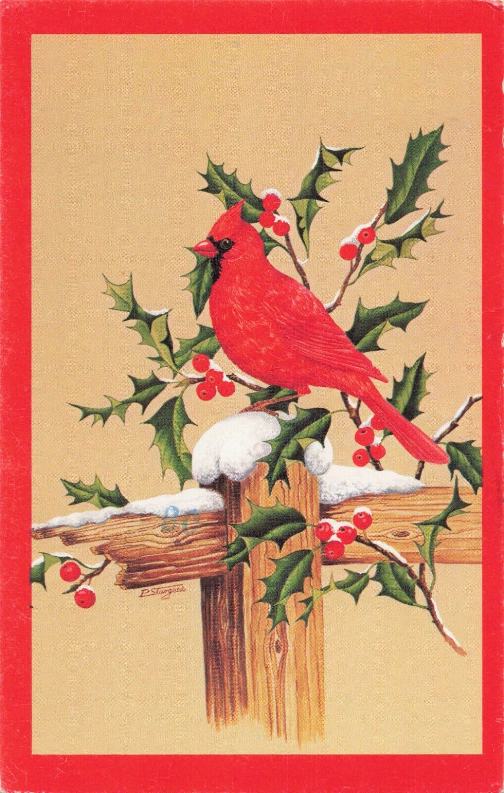 Cardinal Bird - Marian Heath - Sudbury Massachusetts MA - Postcard