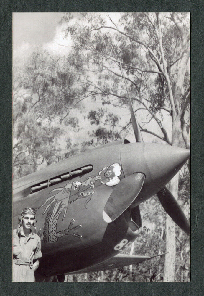Lot of 2 WWII USAAF Aircraft Photos Curtiss P-40 Warhawk George Preddy 49FG