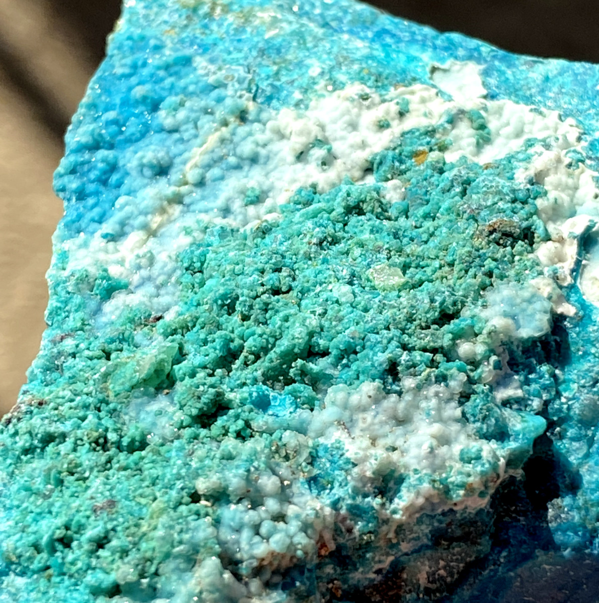 **California** Rare Turquoise Boulder Morph 5 oz