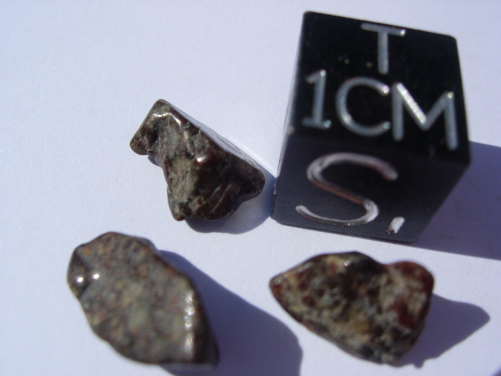 1.27 grams for all 3 NWA 869 Meteorite (class L3-6) tumbled fragments with COA