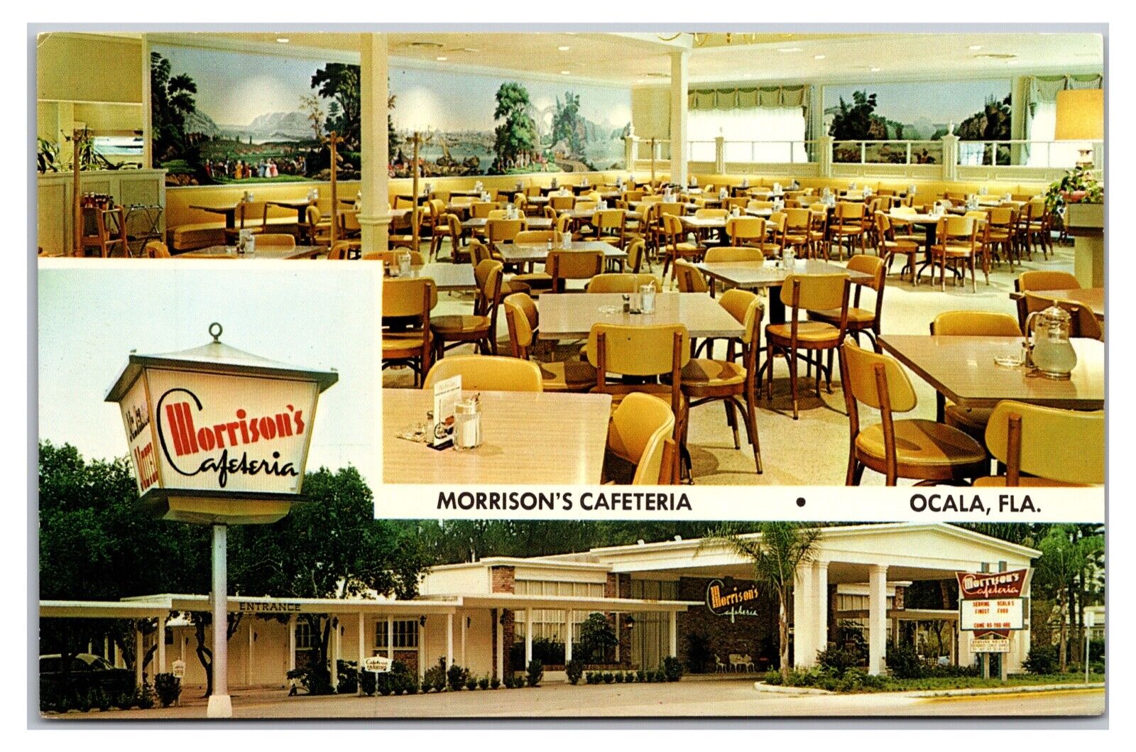 Vintage 1960s- Morrison\'s Cafeteria - Ocala, Florida Postcard (UnPosted)