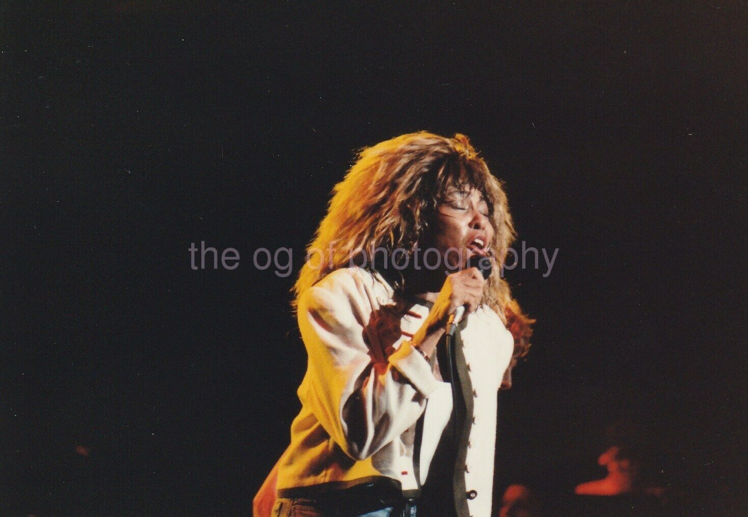TINA TURNER IN CONCERT Found MUSIC Photo COLOR  SINGER 94 5 G
