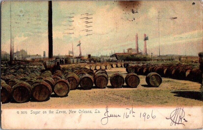 Vintage Postcard Sugar on the Levee New Orleans LA Louisiana 1906          G-701