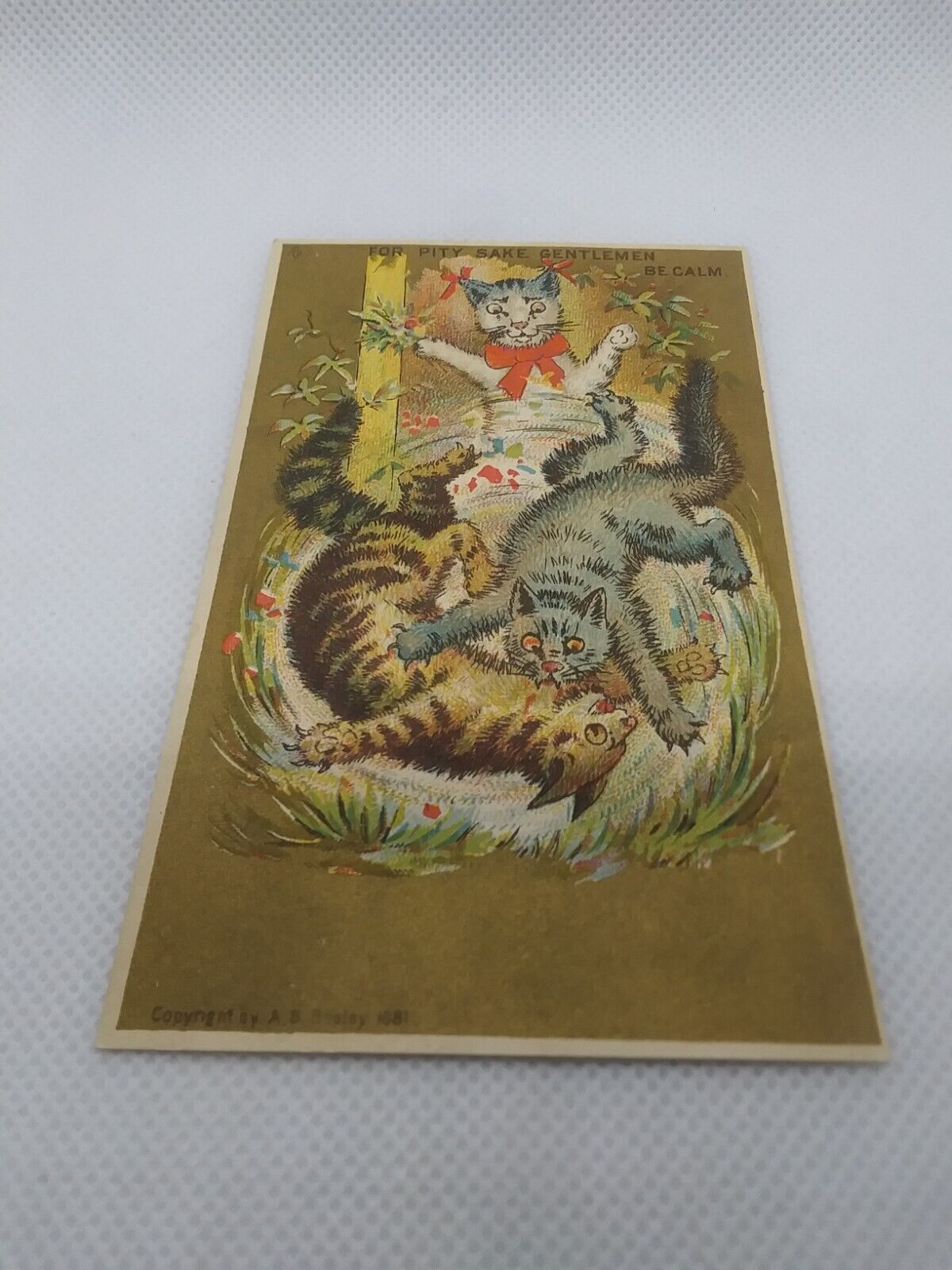 Antique 1881 For Pity Sake Gentlemen Be Calm Cats Fighting Trade Card