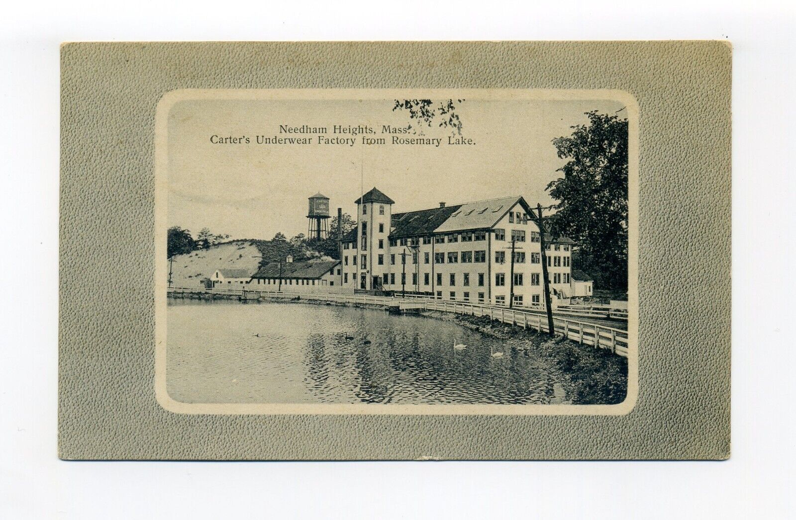 Needham Heights MA postcard, Carter\'s Underwear Factory, Rosemary Lake, swans