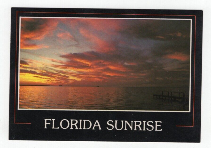 Florida Sunrise Greetings from Florida Typical FL Sunrise Postcard Unposted