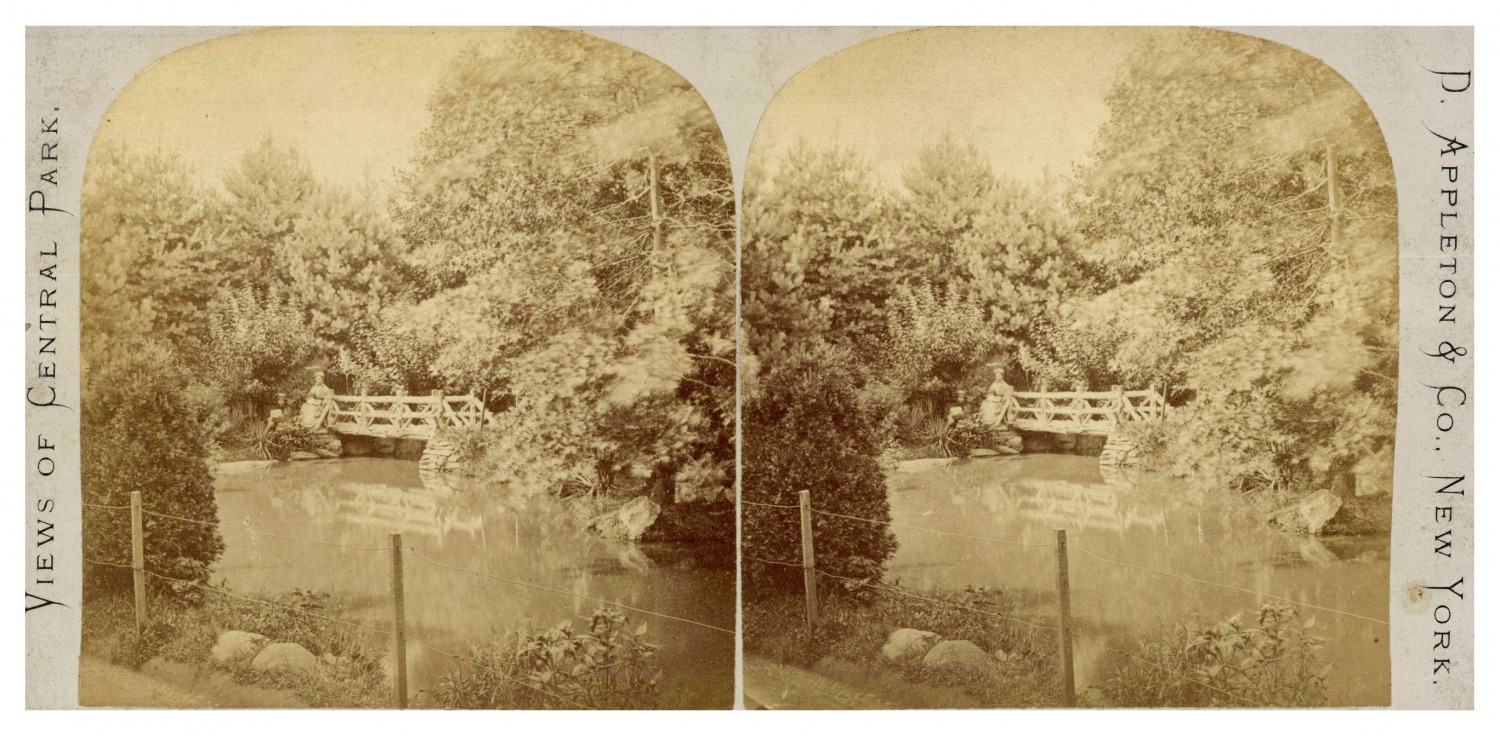 USA, New York, Central Park Bridge, ca.1870, Stereo Vintage Print Stereo, Legend