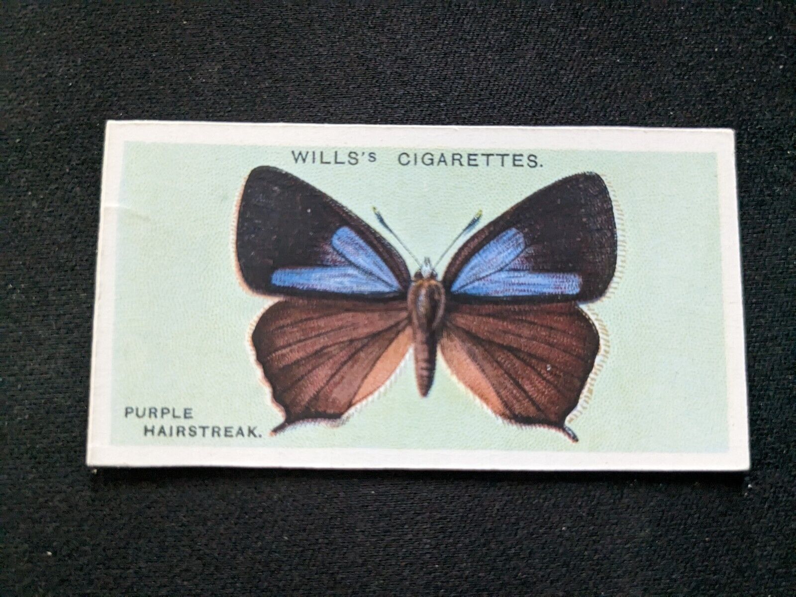 1927 Wills British Butterflies Card # 31 Purple Hairstreak (VG/EX)