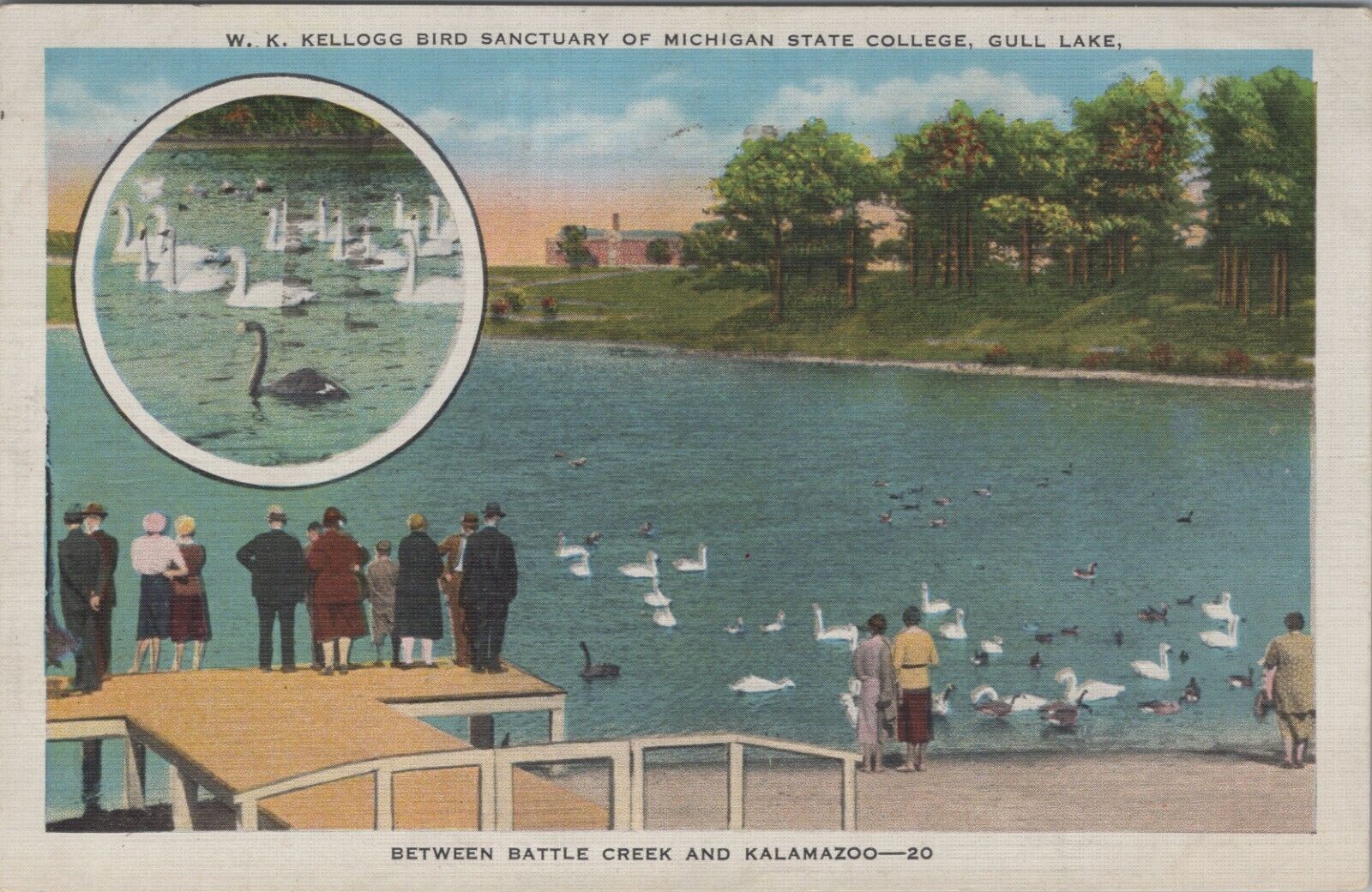 Kellogg Bird Sanctuary Michigan State College Gull Lake swans crowd c1930s E482