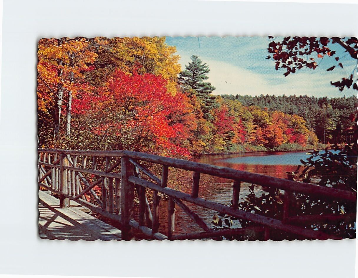 Postcard Autumn Colors Lake Chocorua New Hampshire USA