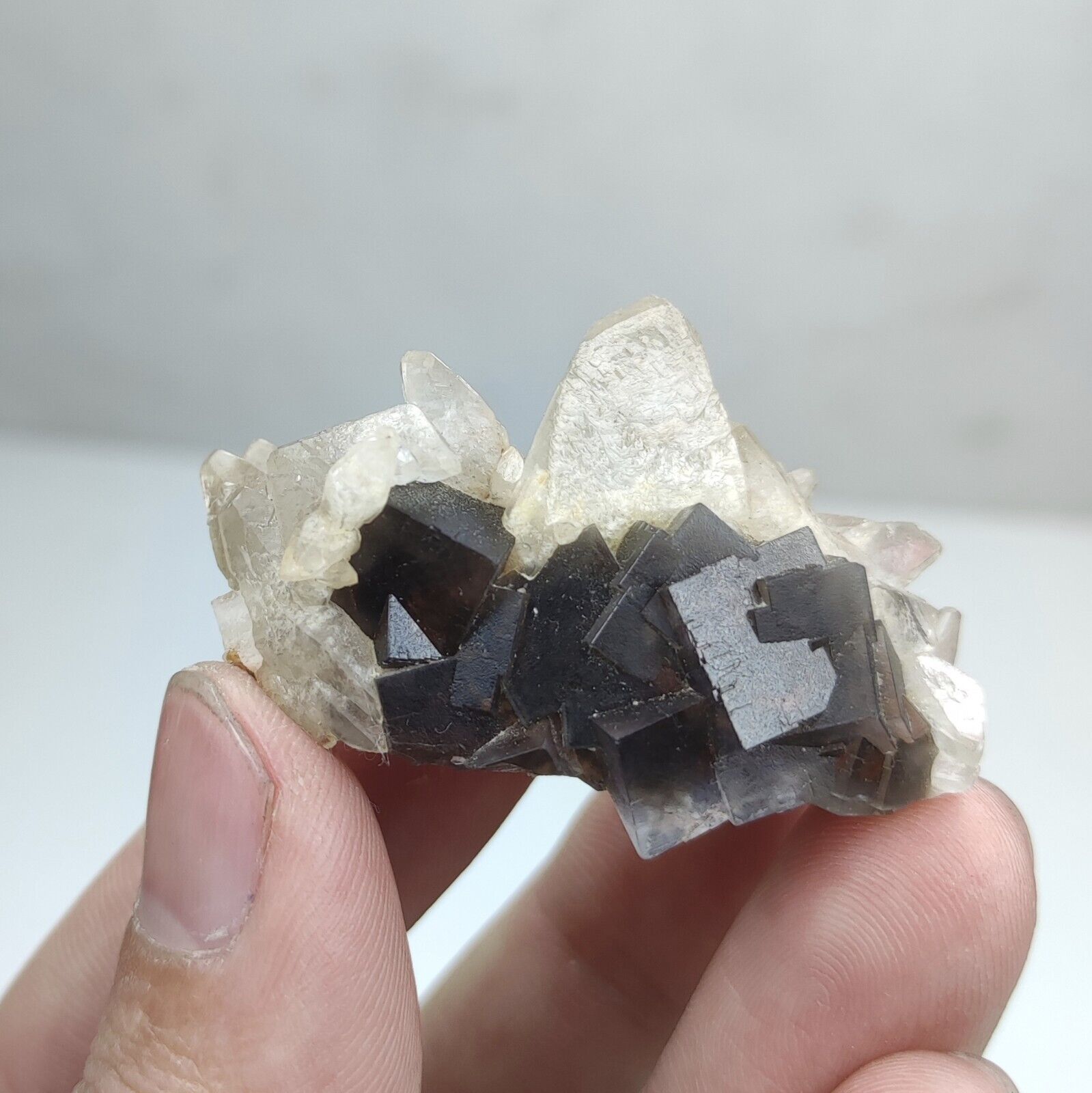 Aesthetic Dark Grey Phantom Fluorite Crystal With Dogtooth Calcite Matrix, 25g
