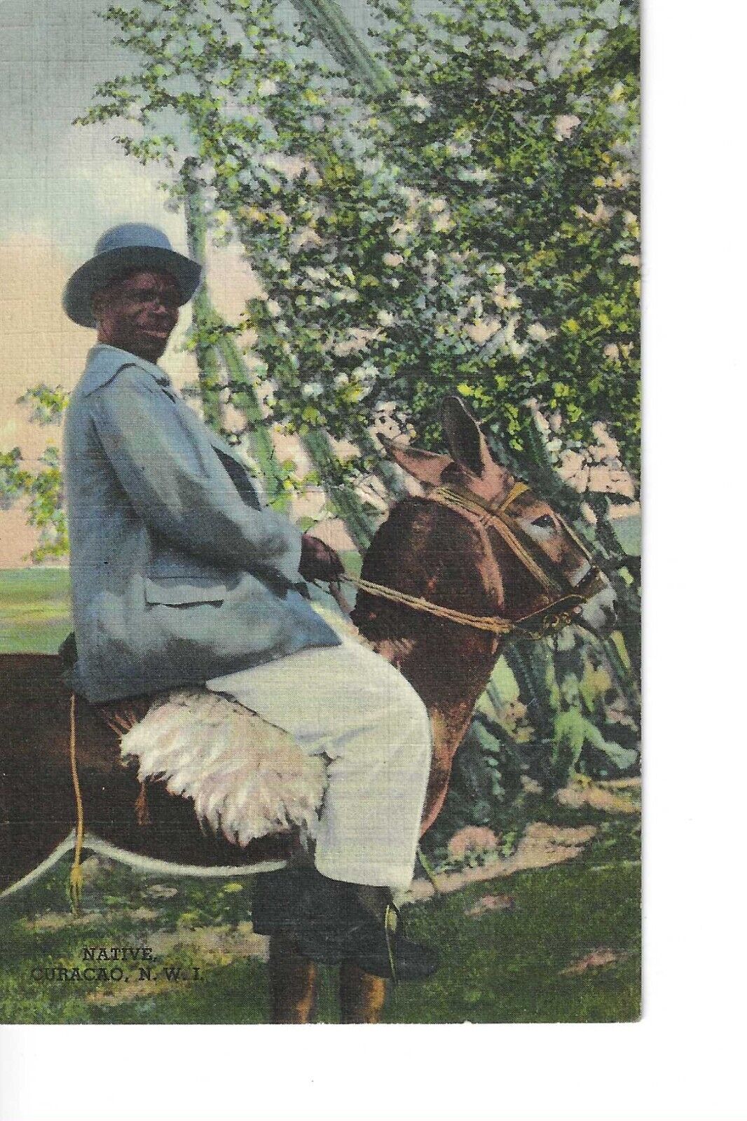 Rare Vintage Used Postcard, 1948 Native on Donkey, Native Curacao, N.W.I., 
