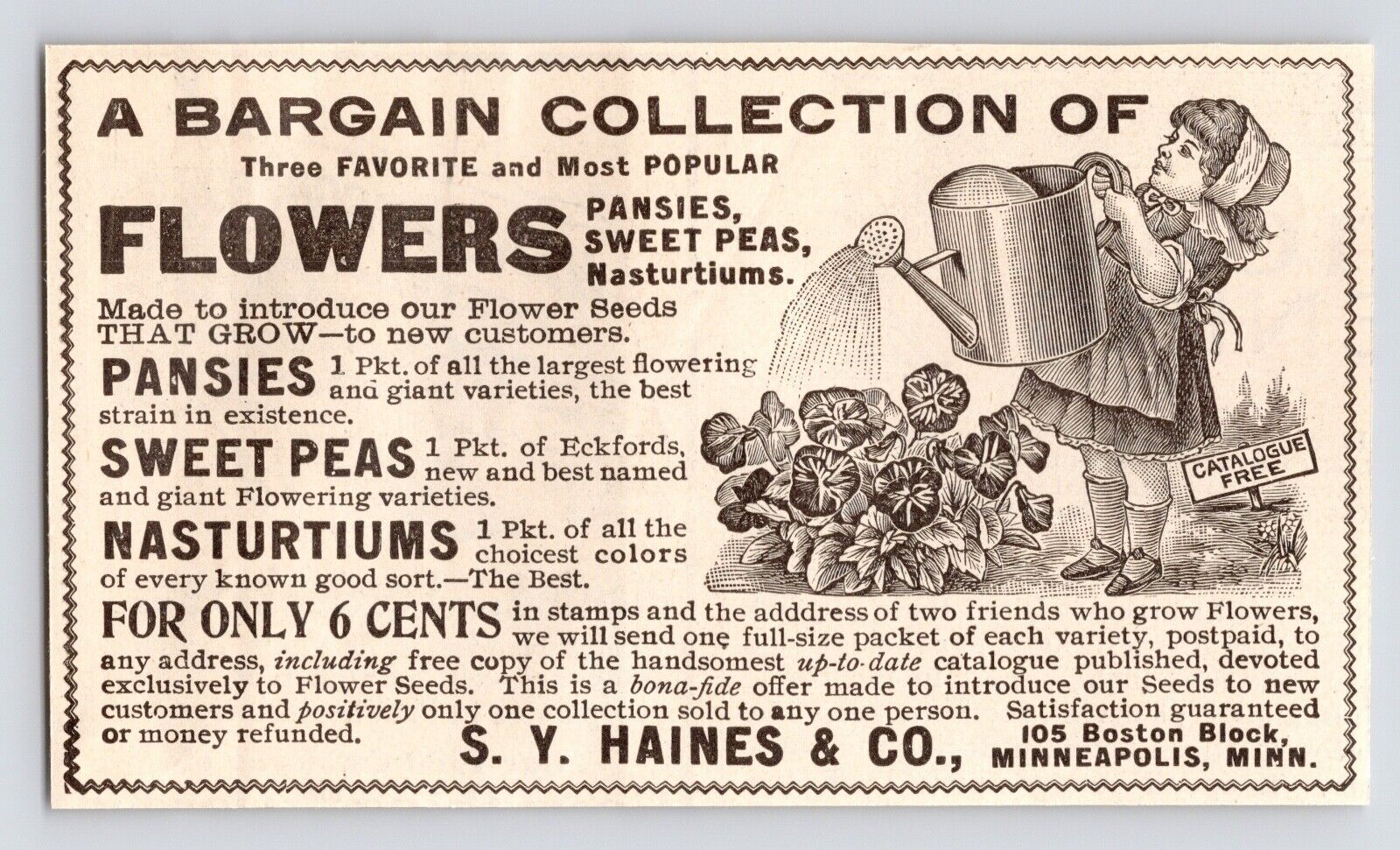 c1880s S.Y. Haines & Co Seed & Flower Garden Minneapolis MN Antique Print Ad