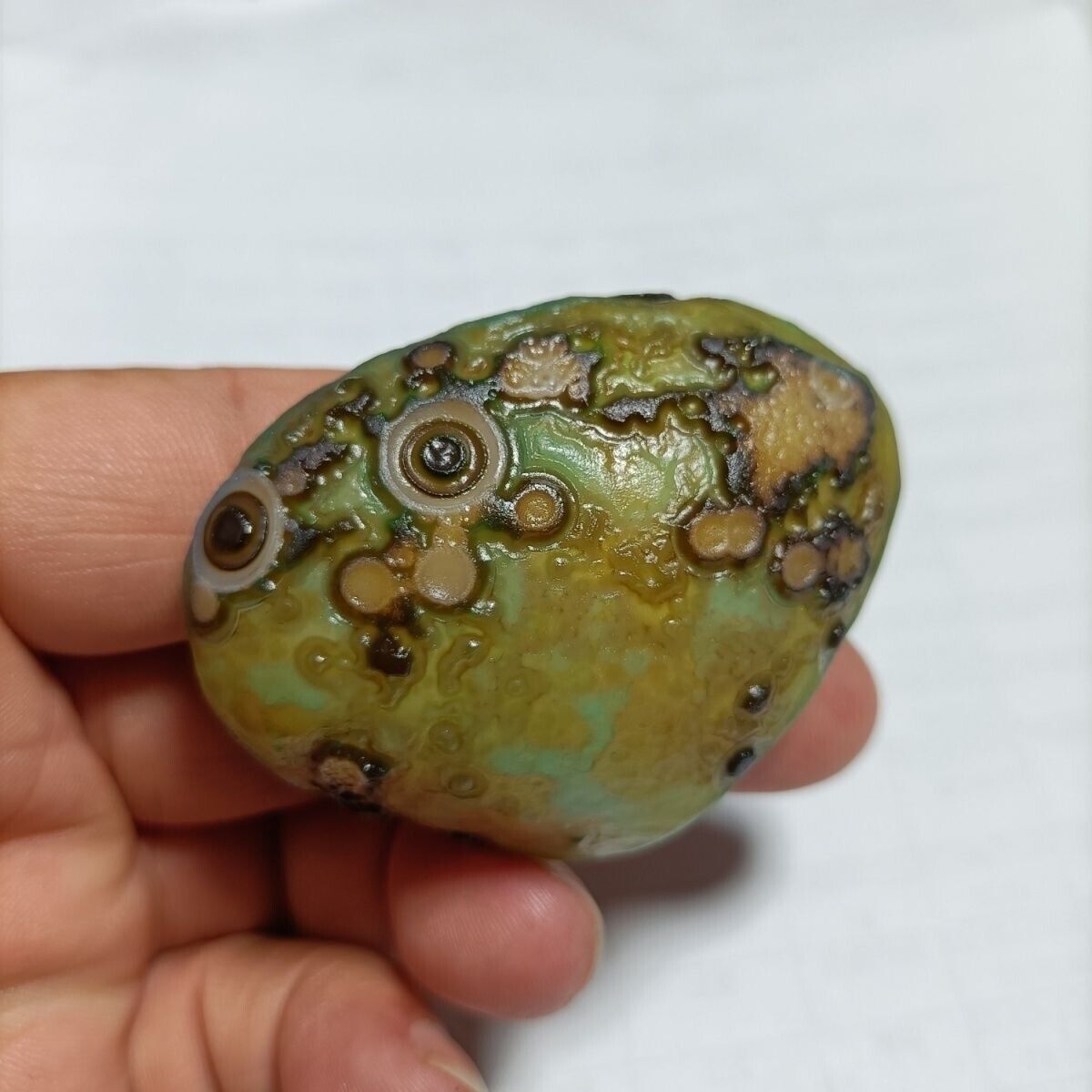 Rare China Inner Mongolia Gobi Eye Agate Stone ~100% Natural Designer  PFKL