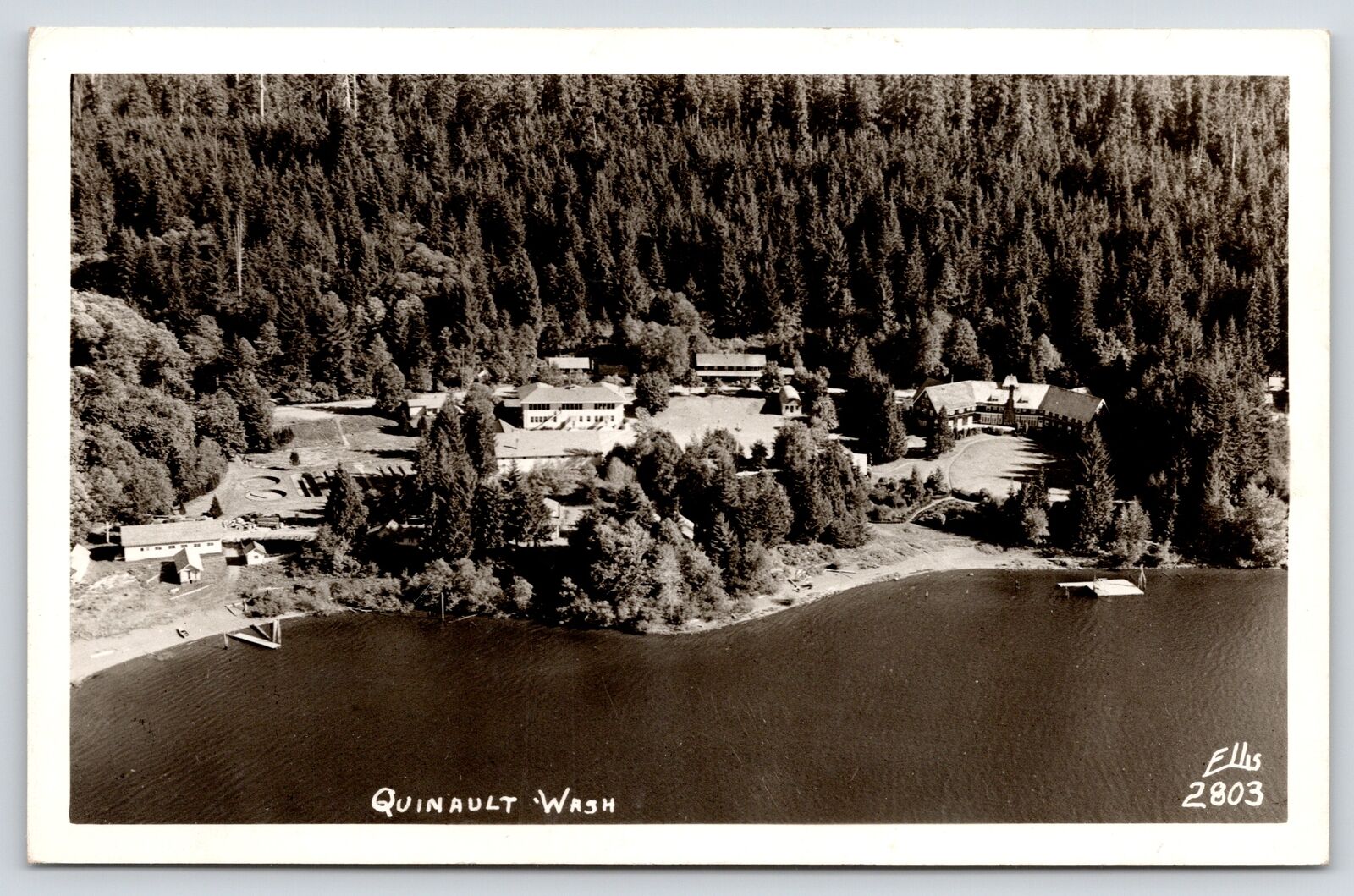 Quinault Washington~Birdseye Hotels & Lodge on Lake~Rain Forest~c1950 RPPC