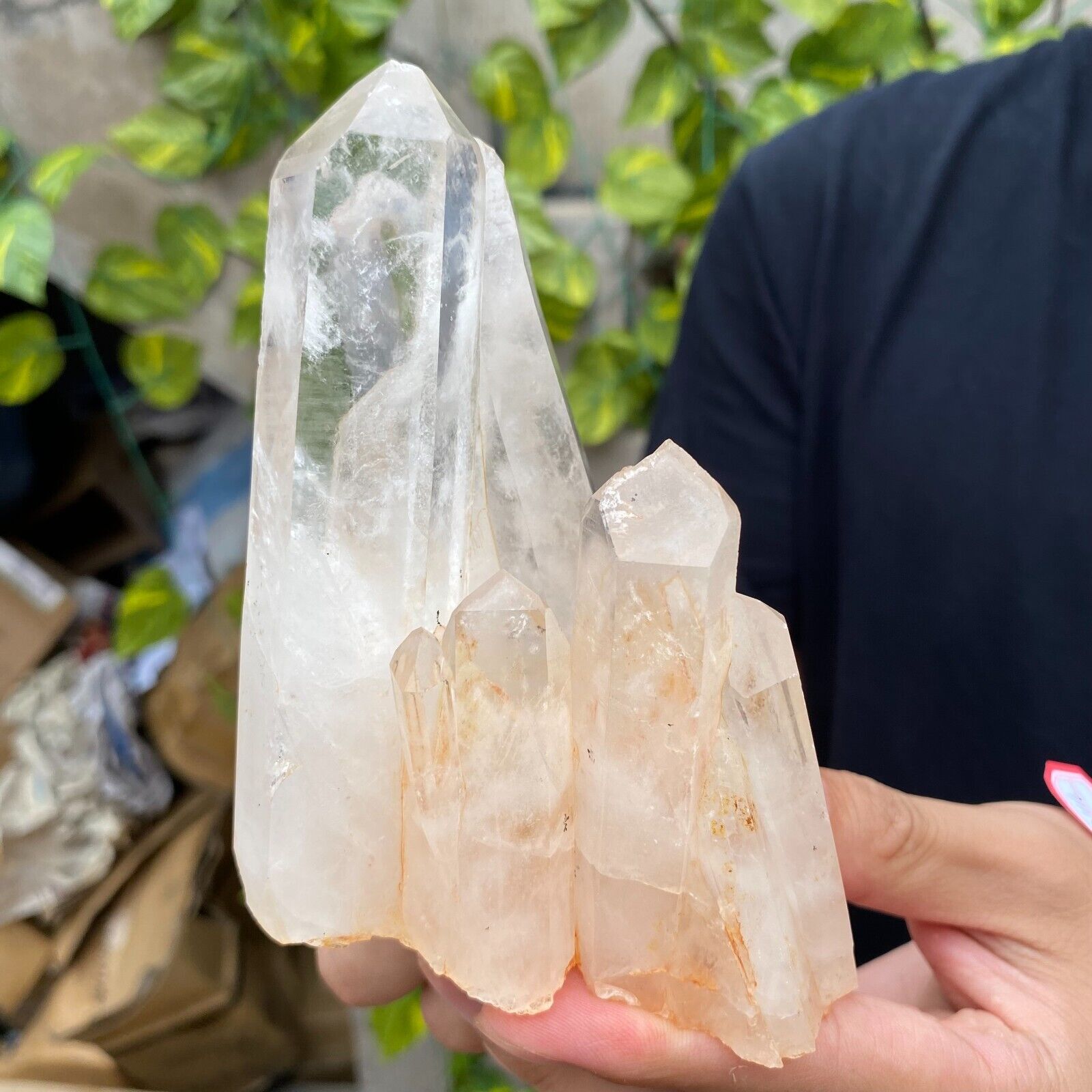515G Natural White clear Quartz Crystal Cluster Rough Mineral Specimen Healing