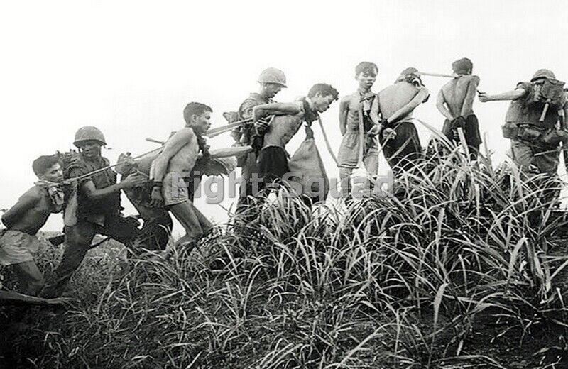 Vietnam War Photo American soldiers lead away captured Vietcong fighters 2959