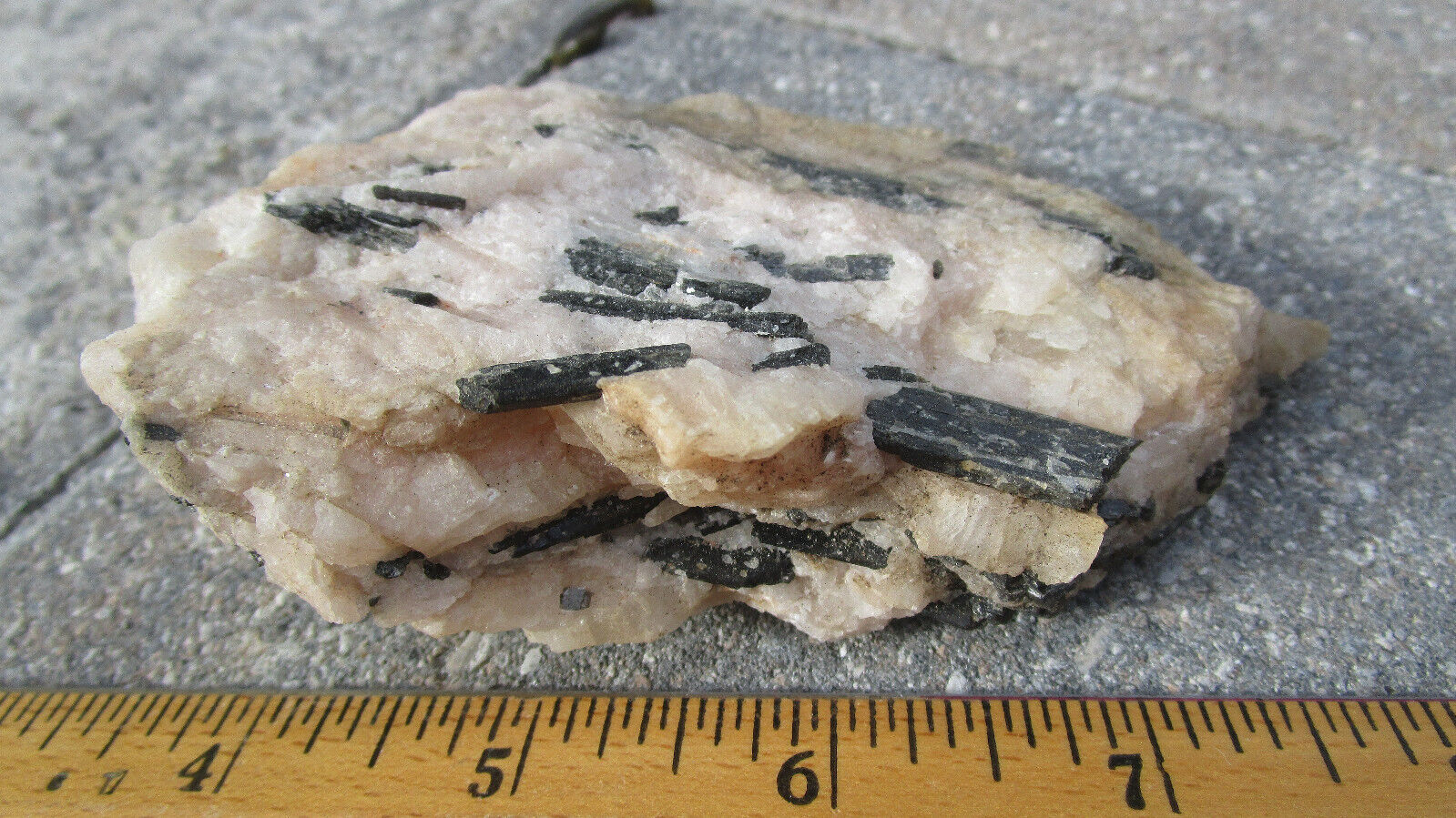 Large Rare Fluoro-Richterite on Fluorescent calcite mineral rock Canada O3