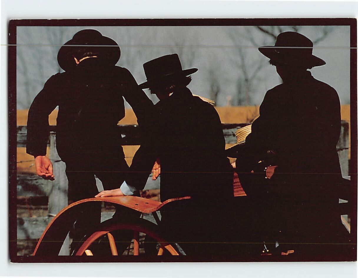 Postcard Amish boys Amish Seasons Pennsylvania USA