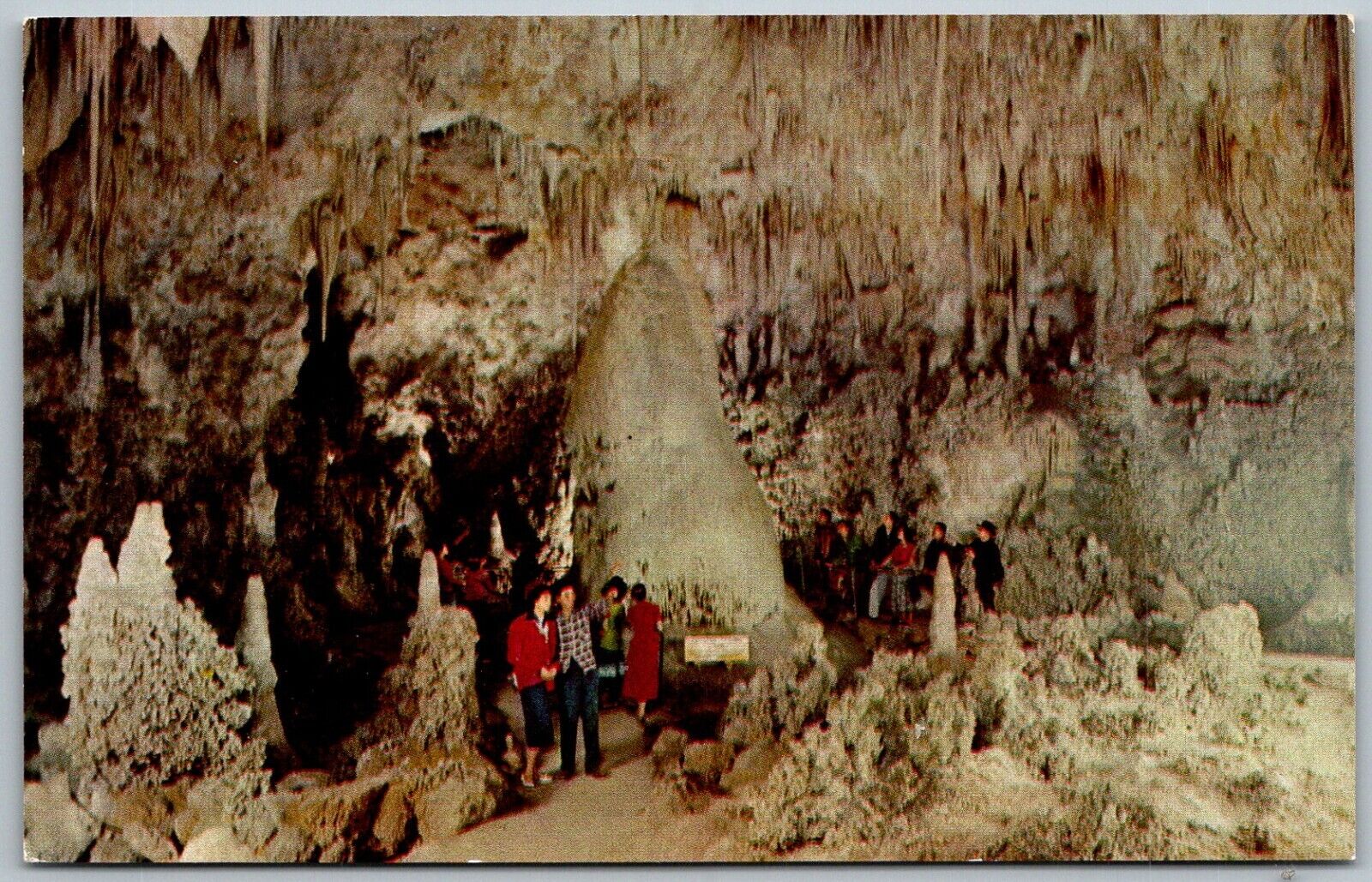 Carlsbad Caverns New Mexico 1960s Postcard Crystal Spring Dome