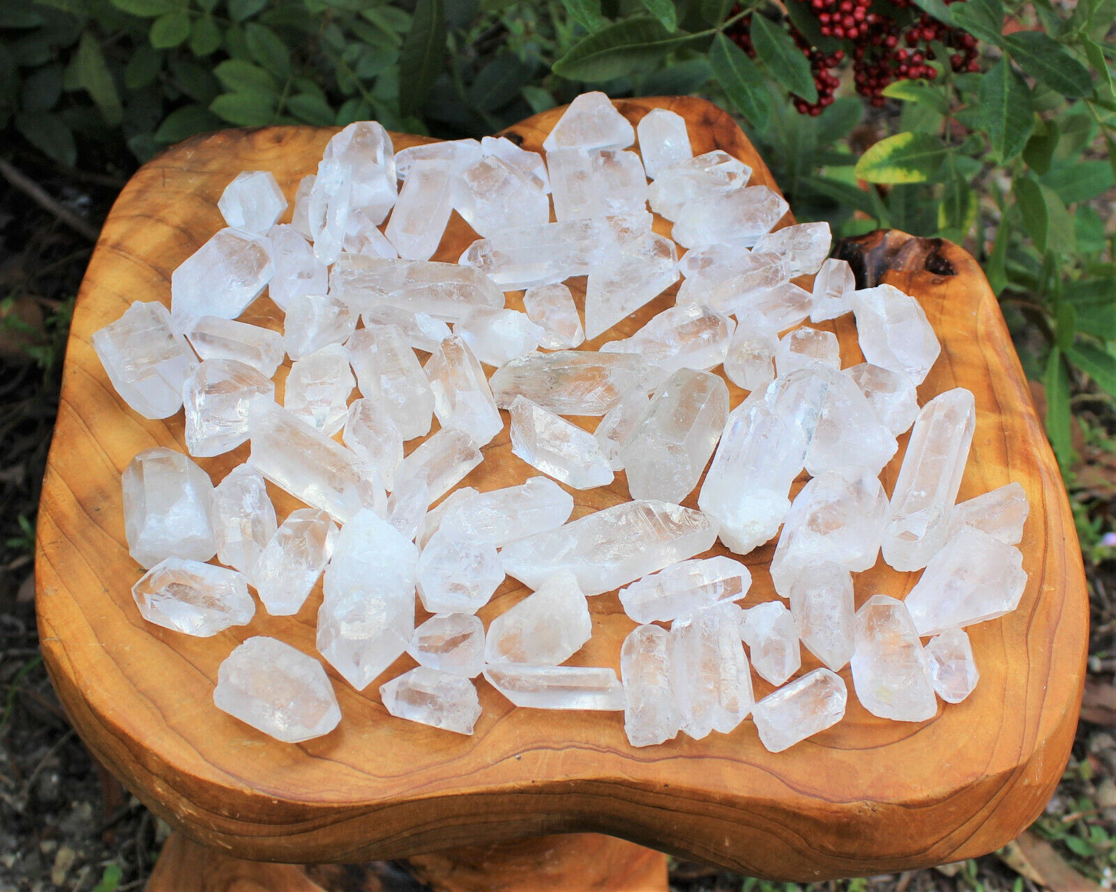 2000 Carat Lot Natural Clear Quartz Points (40 - 60 Crystals) Reiki Healing Wand