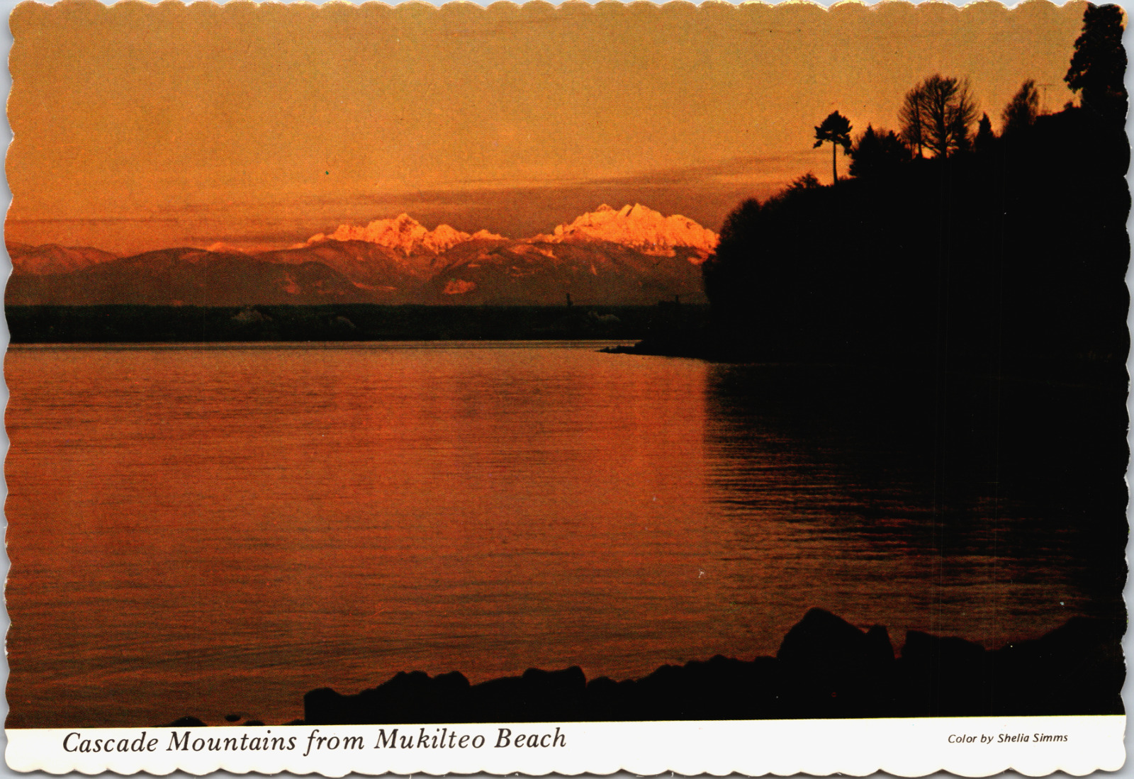 Sunset View Cascade Mts Mukilteo Beach Washington Deckle Edge Ellis Post Card Co