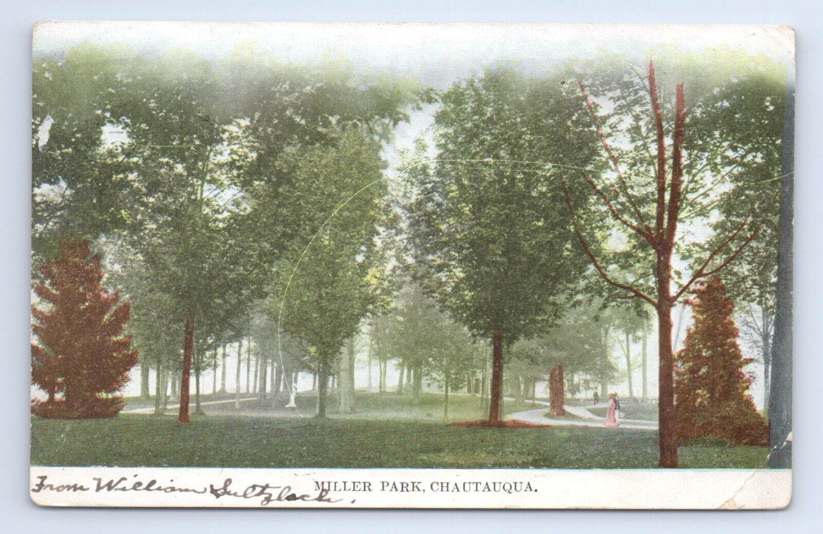 Miller Park Chautauqua New York Lake Erie Postcard VTG NY Trees UDB Undivided