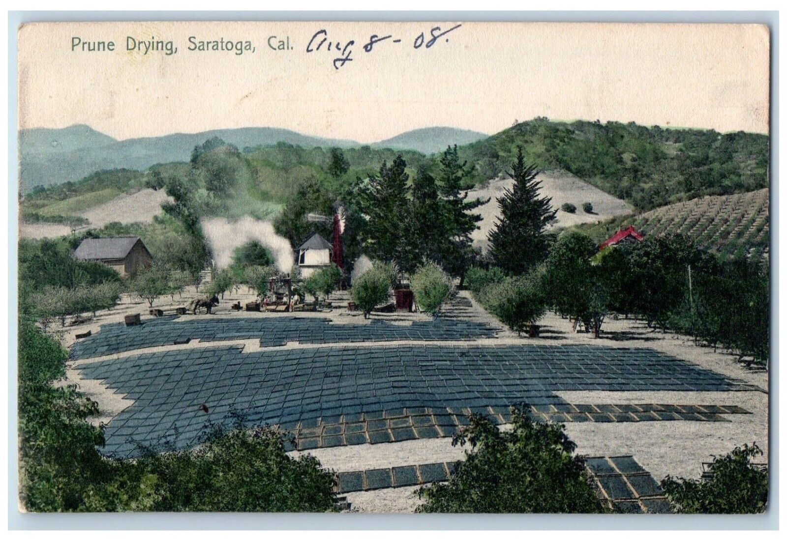 c1908 Aerial View Prune Drying Saratoga California CA Antique Vintage Postcard