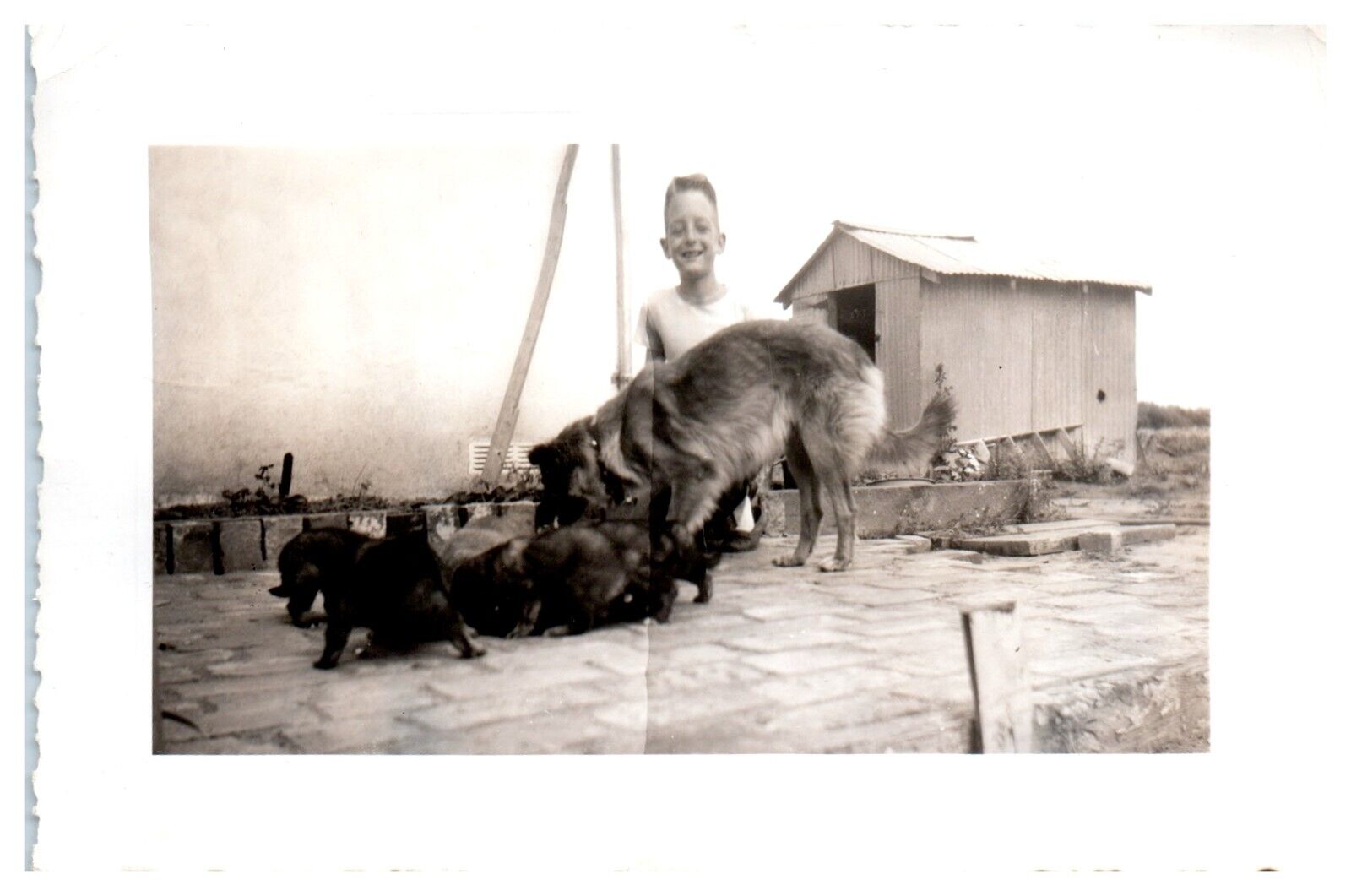 1940\'s Charlie & German Shepherd \