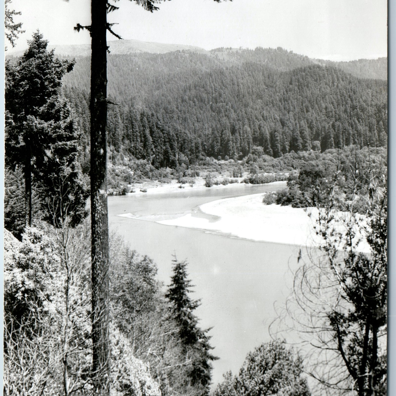 c1940s Klamath Glen, CA RPPC Terwer Riffle Zan 471 Real Photo Postcard Cali A200