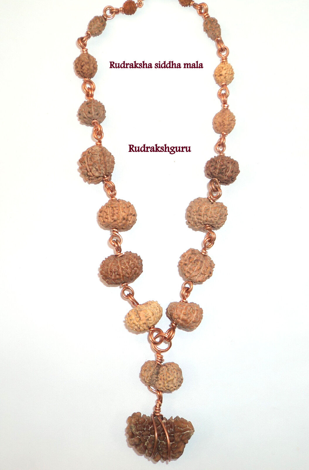 Rudraksha Siddha Mala - Java Bead {1 till 14 Mukhi Rudraksh} - Lab Certified