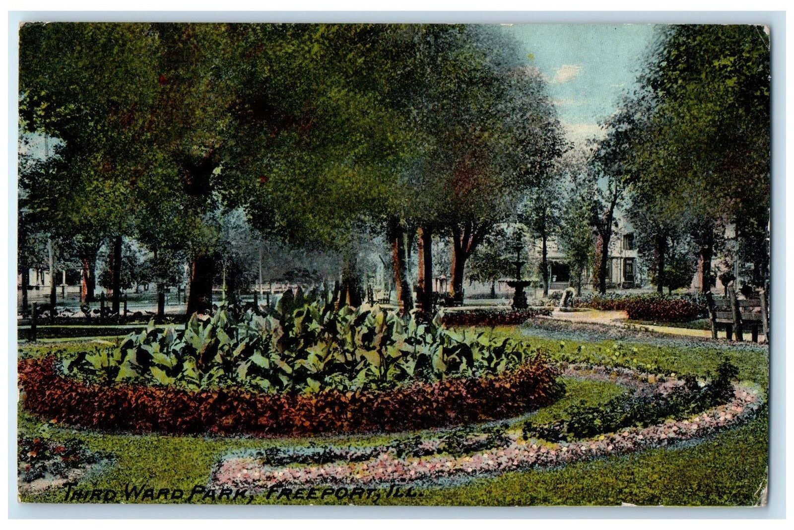 1911 Third Ward Park Trees Flowers Scene Freeport Illinois IL Posted Postcard