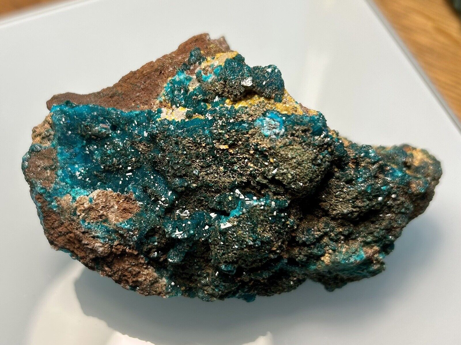 295g 9cm Blue Green DIOPTASE Crystals in a matrix from CONGO - US SELLER