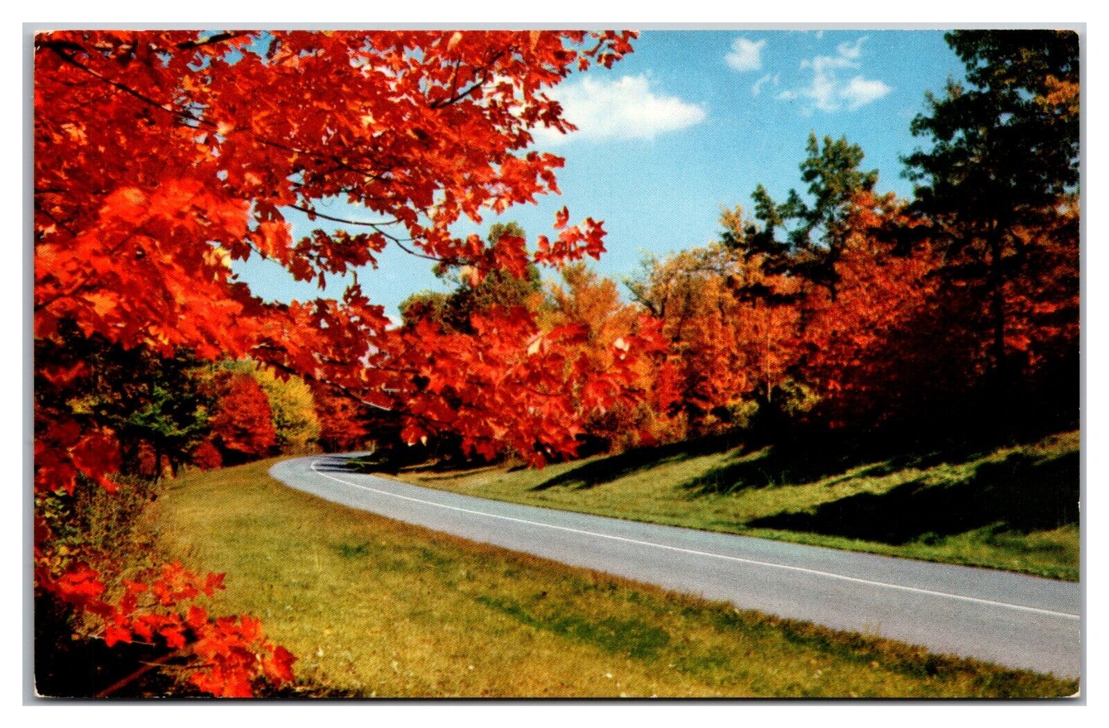 Autumn Color Along The Blue Ridge Parkway Postcard