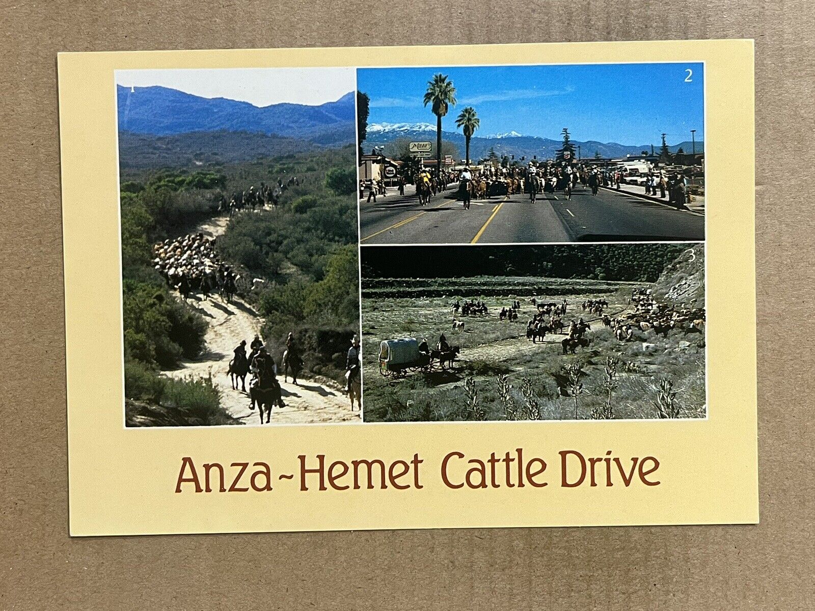Postcard Hemet CA California Anza Hemet Cattle Drive Caballeros Cowboys