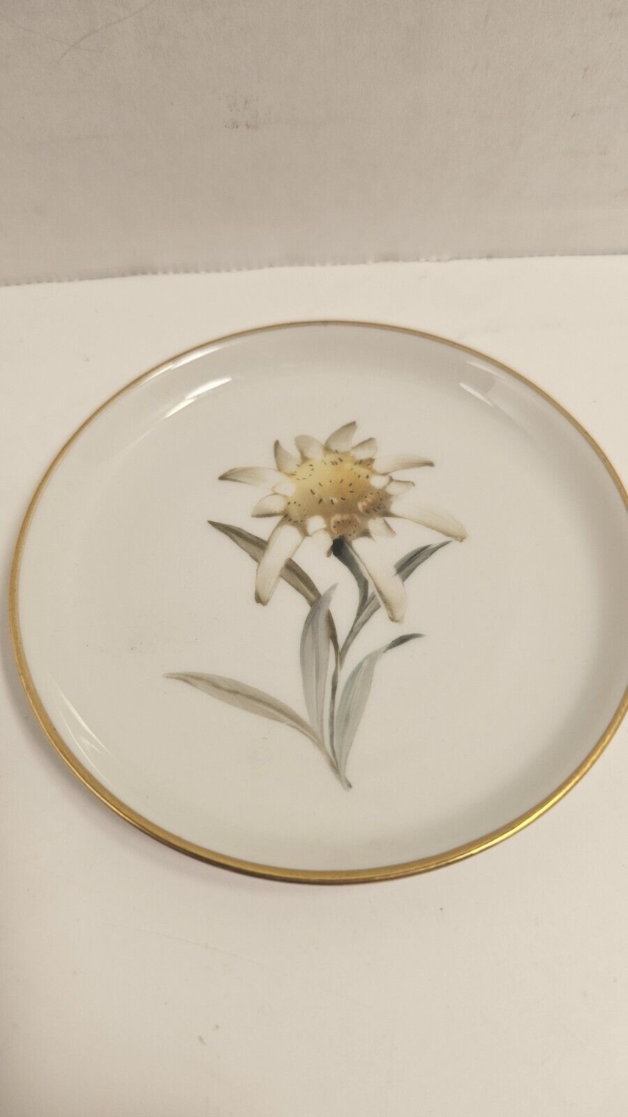 Rosenthal Handmalerei Germany Gold Rim Butter Pat Plate  Edelweiss Alpine Flower