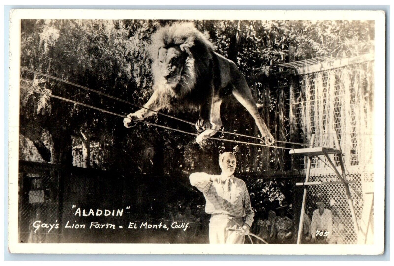 c1940's Aladdin Gays Lion Farm El Monte California CA RPPC Photo Postcard