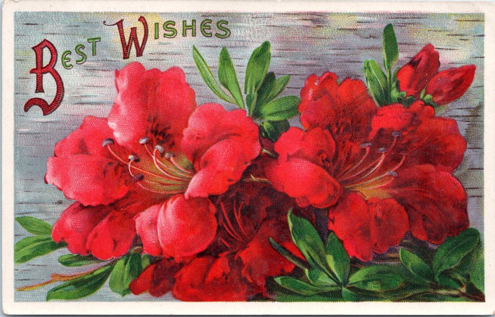 Vintage Floral Greeting Postcard- Best Wishes Flower - Gel Coat - 1911