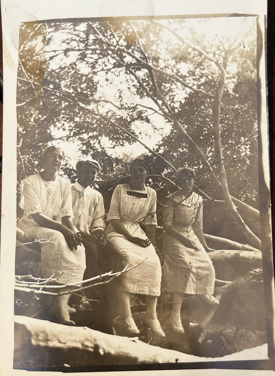 Antique RPPC Four People Sitting Outside On A Tree-Real Photo Postcard
