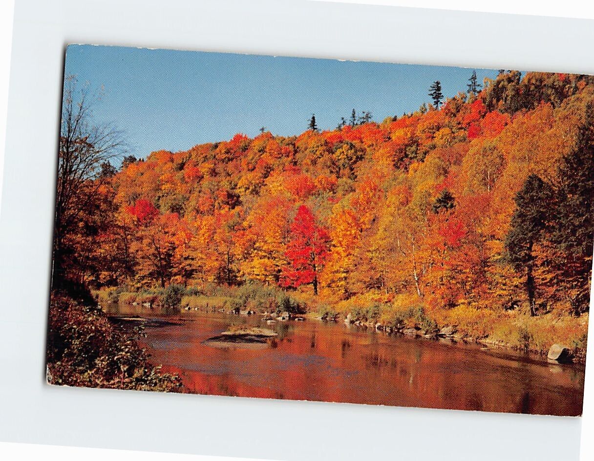 Postcard Beautiful Autumn Hillside