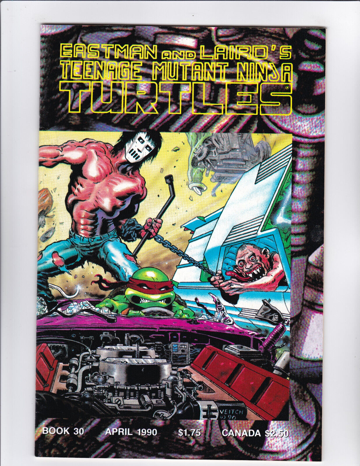 Teenage Mutant Ninja Turtles #30 (1989) Rick Veitch Mirage Casey Jones