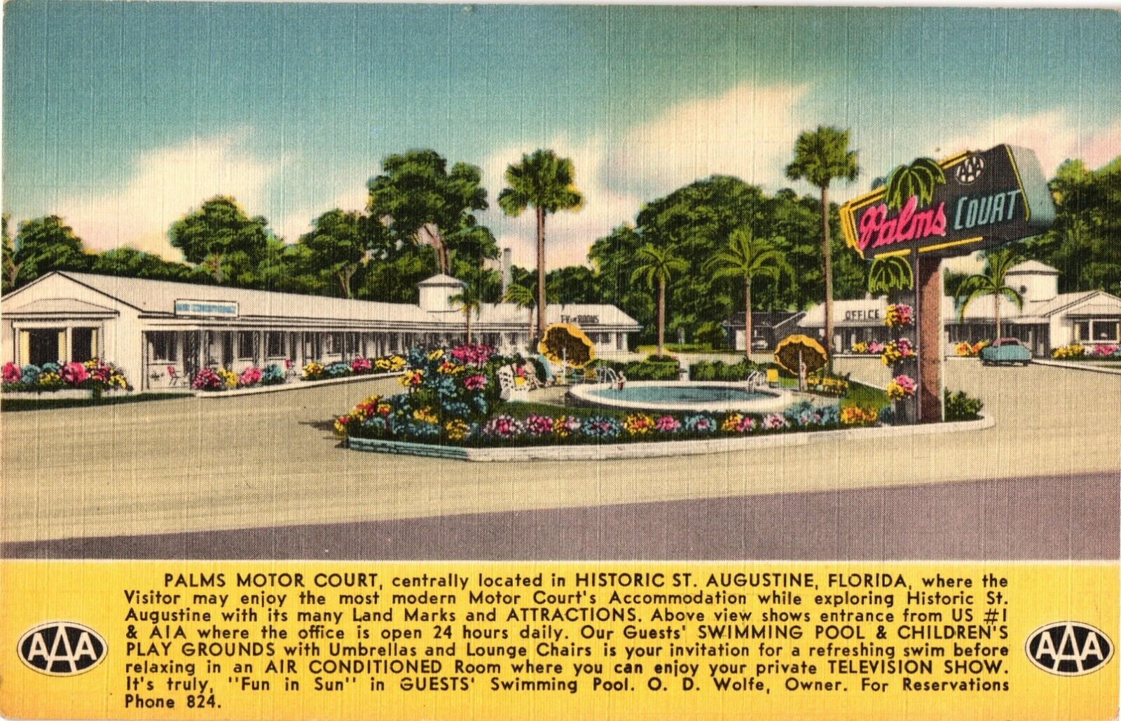 FLORIDA St Augustine Palms Motor Court Motel FL Vintage Postcard